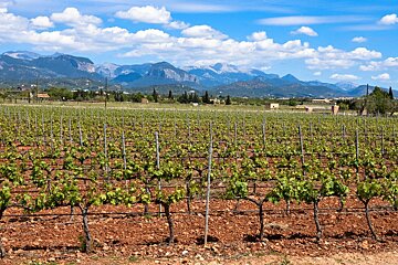 About the Attractions in Mallorca
