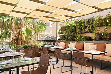 A bright rooftop restaurant terrace with tables set for dining under a beige canopy, surrounded by lush potted plants and palm trees.