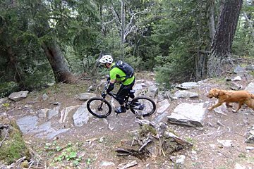 A man riding a bike in the woods with a dog behind him