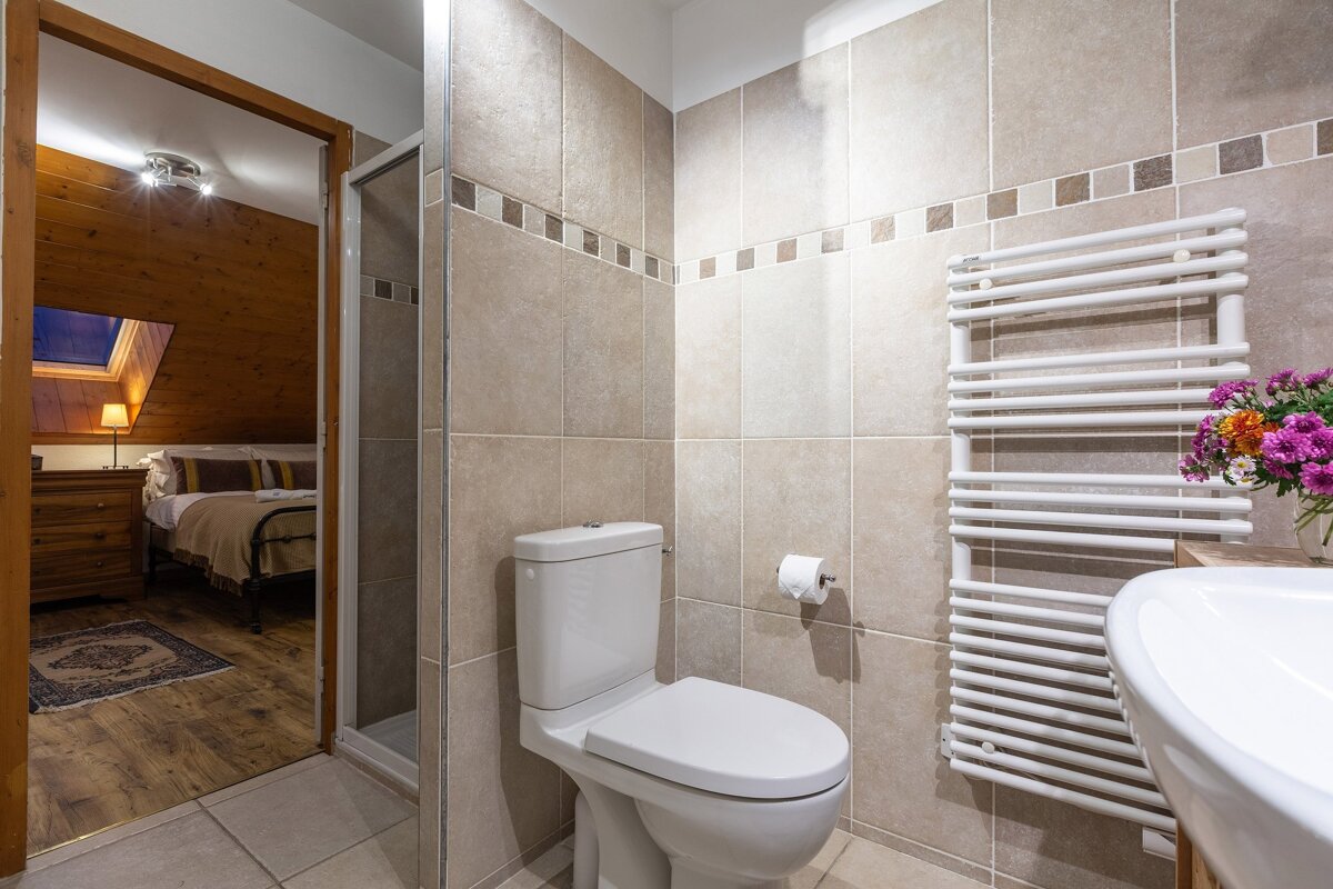 A modern tiled bathroom with a toilet, shower, and towel rail, adjoining a rustic wooden bedroom with a bed and skylight.