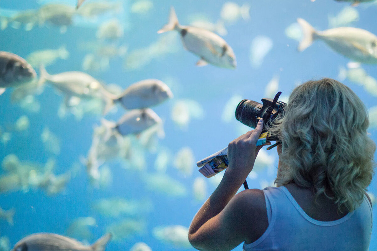 Palma Aquarium, Palma de Mallorca