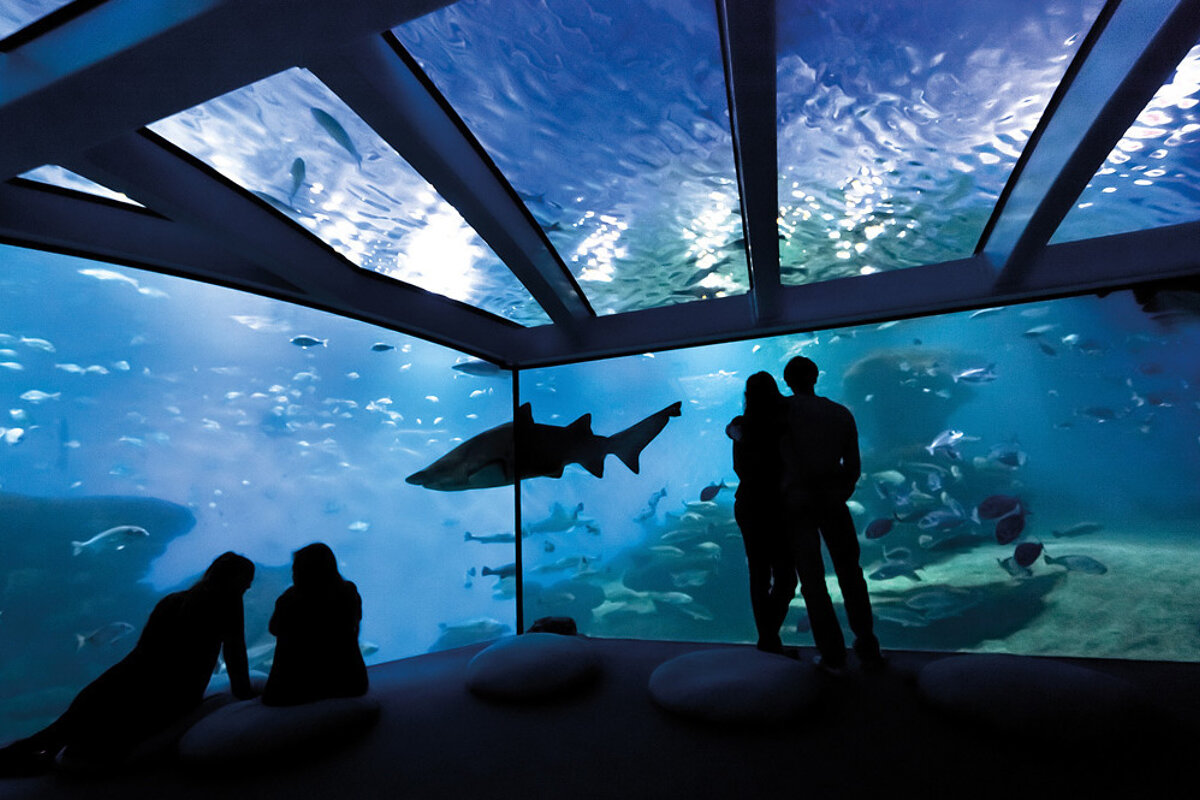 Palma Aquarium, Palma de Mallorca