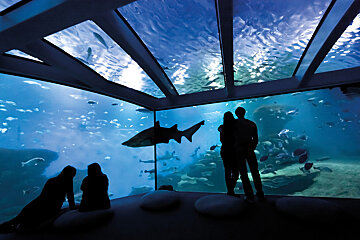 Palma Aquarium, Palma de Mallorca