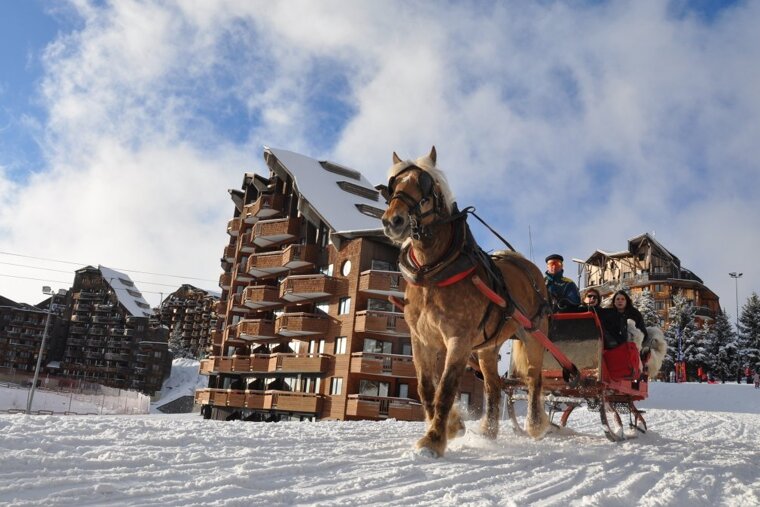 horses pulling sledges for tourists