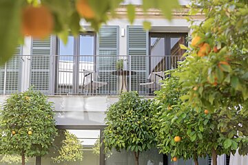 Can Alomar Boutique Hotel, Palma