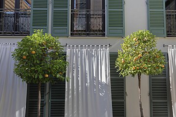 Can Alomar Boutique Hotel, Palma