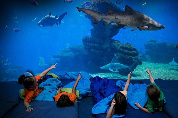 Halloween at Palma Aquarium, Palma de Mallorca