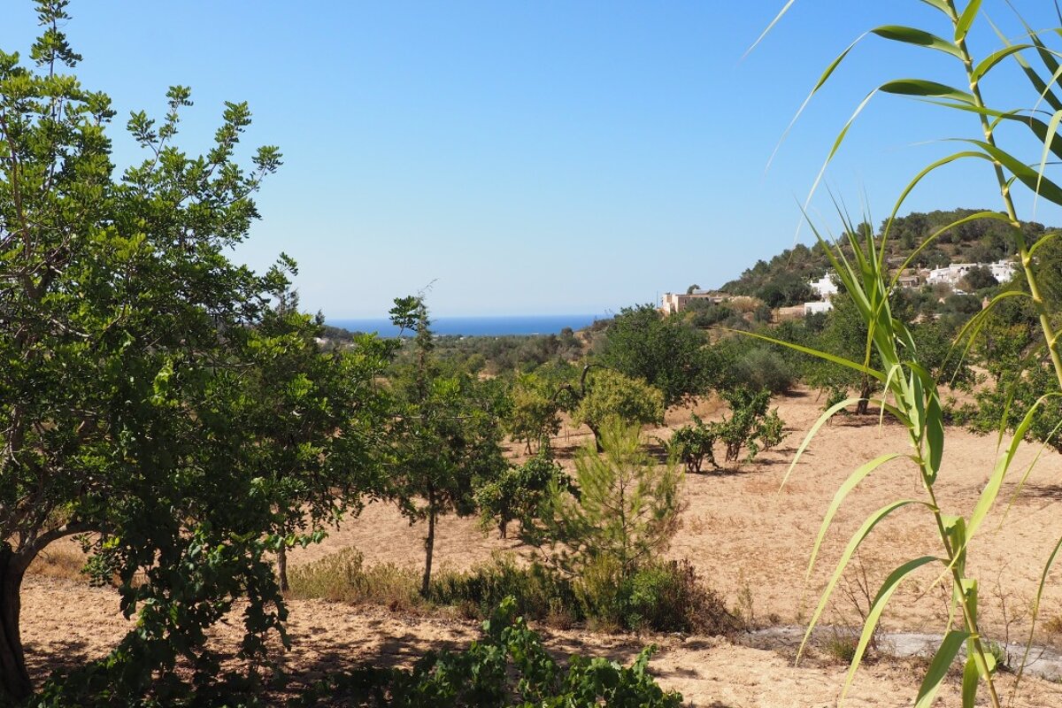 a view over fields to the coast