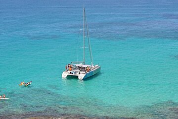 45 person Sailing Catamaran, Palma Centre & Marina exterior