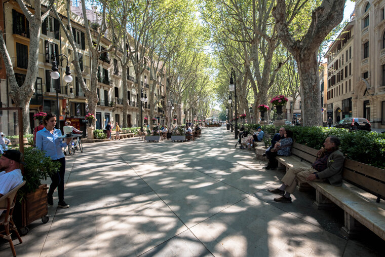 6 reasons to escape to Palma this winter 2019/20