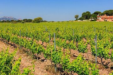 Chateau Paquette, Frejus