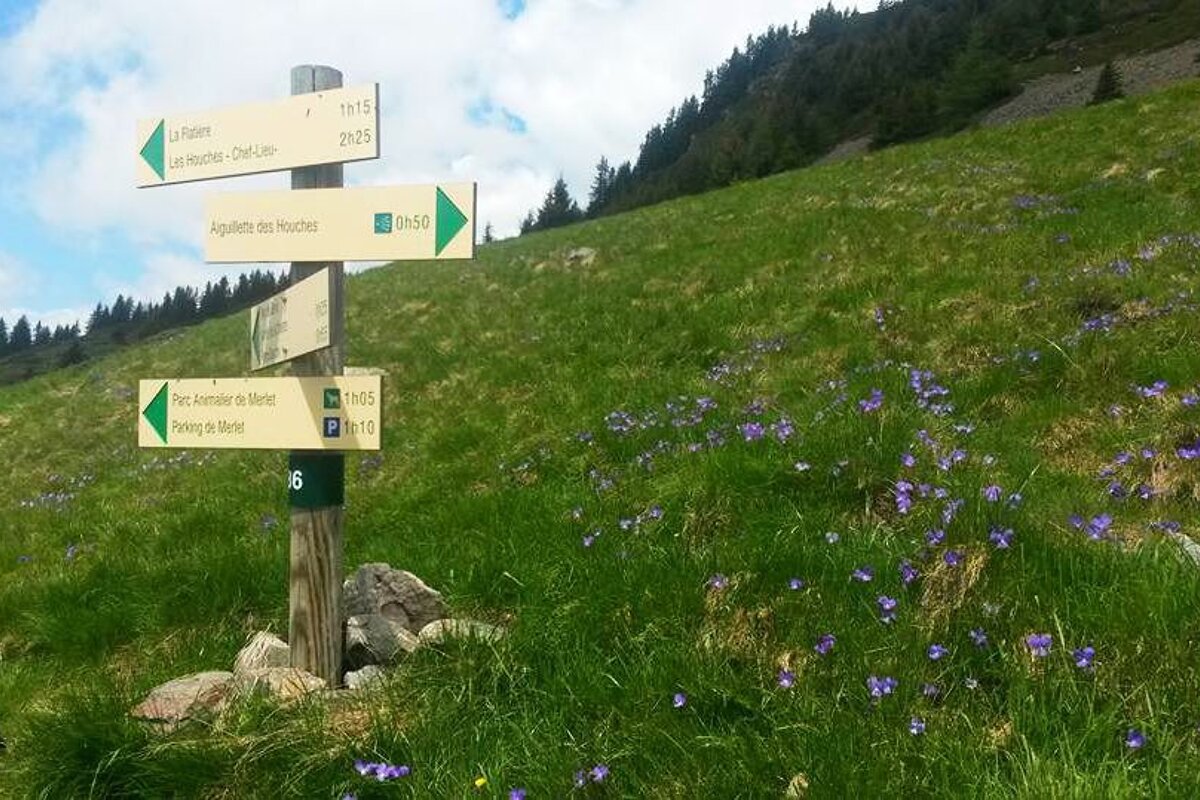 Trail Running : Chalet de Chailloux