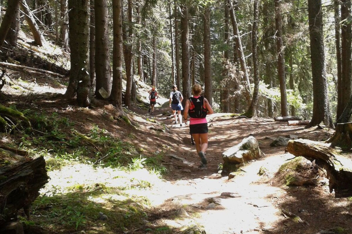 Trail Running : Chalet de Chailloux