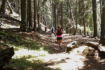 Trail Running : Chalet de Chailloux