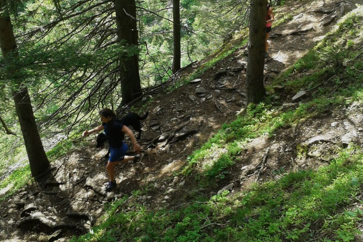 Trail Running : Chalet de Chailloux