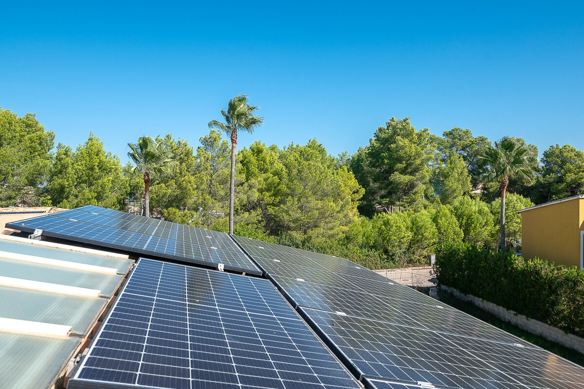 A row of solar panels on a roof with palm trees in the background