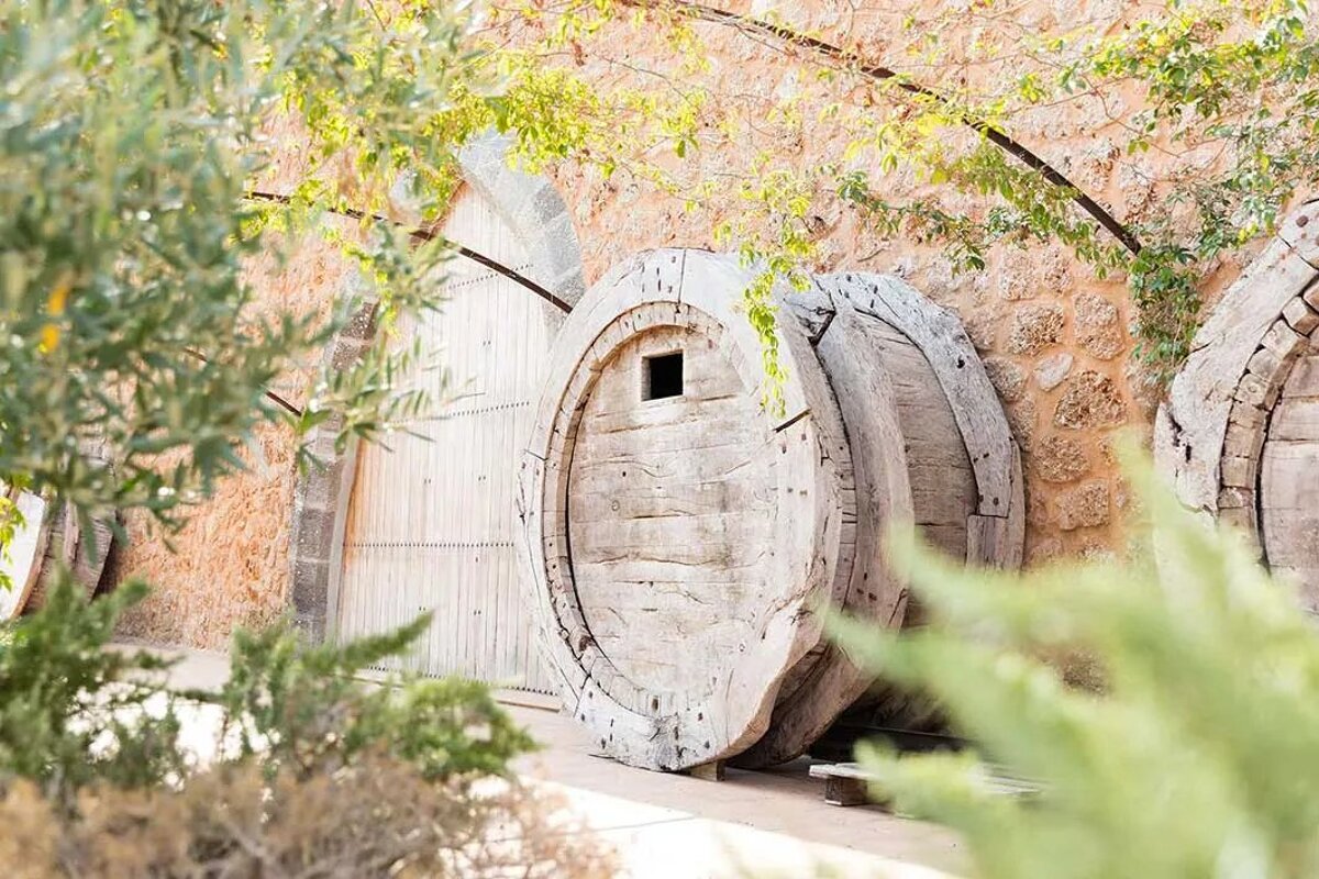 Bodegas Angel Vineyard, Santa Maria del Cami
