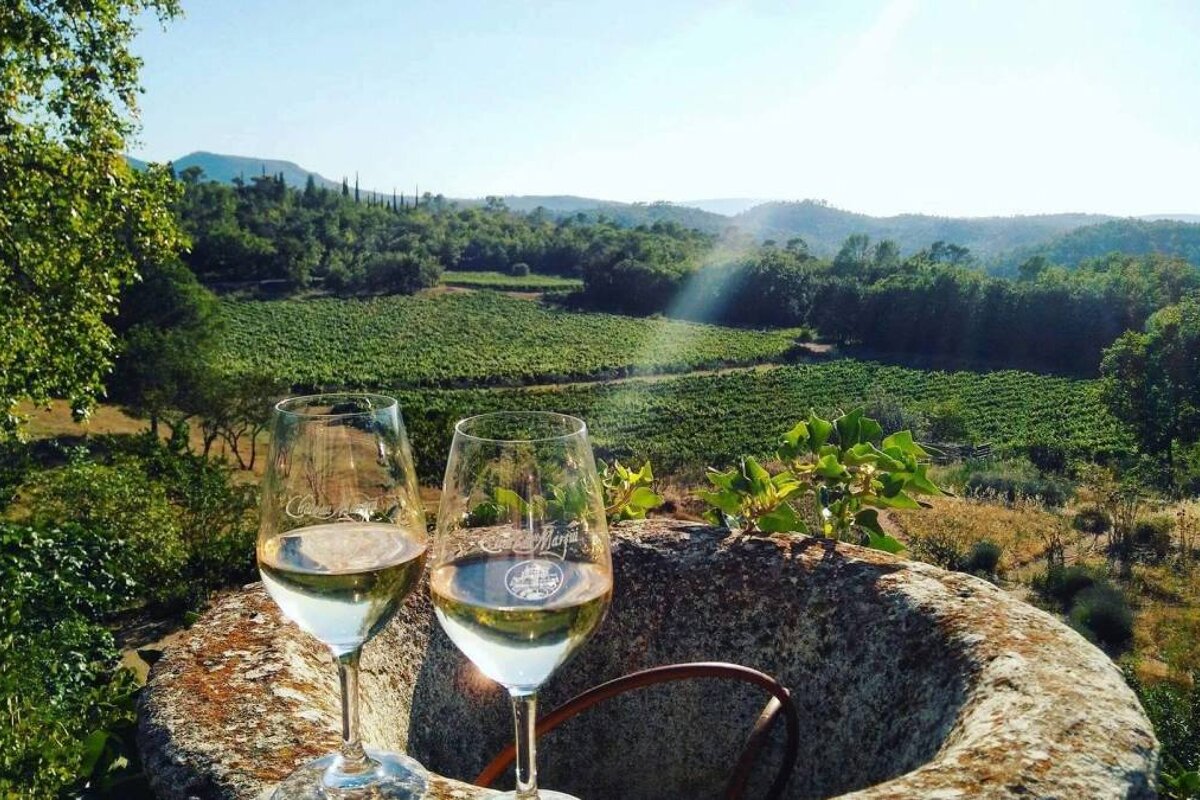 Chateau Margui Vineyard, Chateauvert