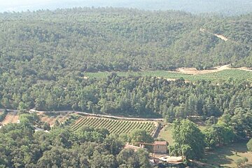 Chateau Margui Vineyard, Chateauvert