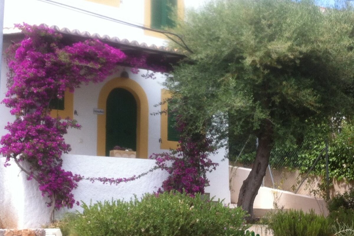 pink flowers around the front of a house in north mallorca