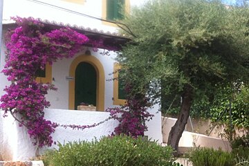 pink flowers around the front of a house in north mallorca
