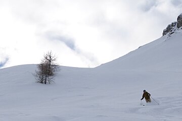 a skier going past a tree