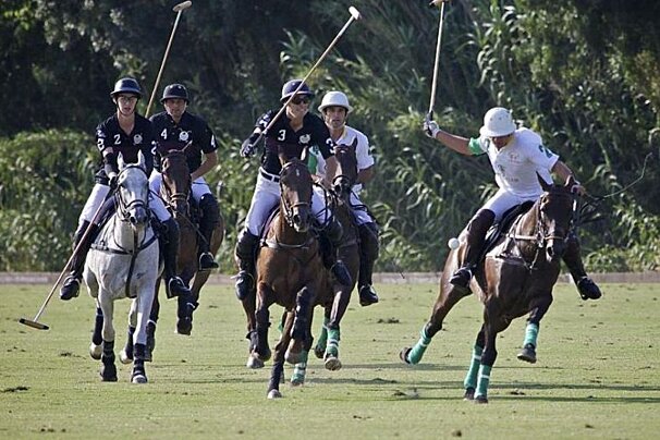 Polo Club Saint Tropez