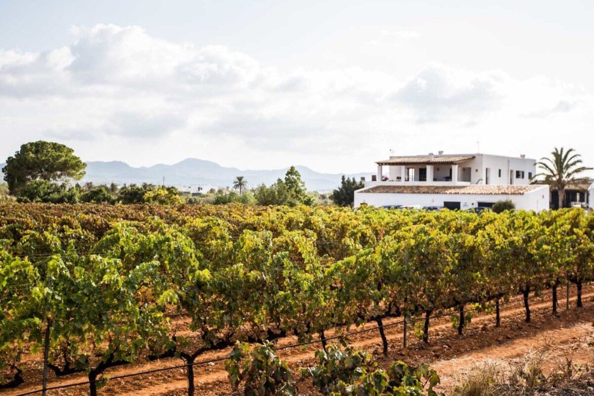 Can Rich de Buscastell Winery, San Antonio