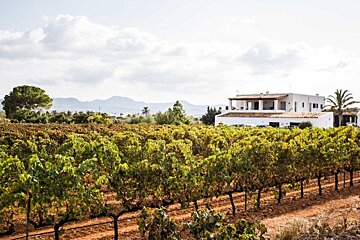 Can Rich de Buscastell Winery, San Antonio