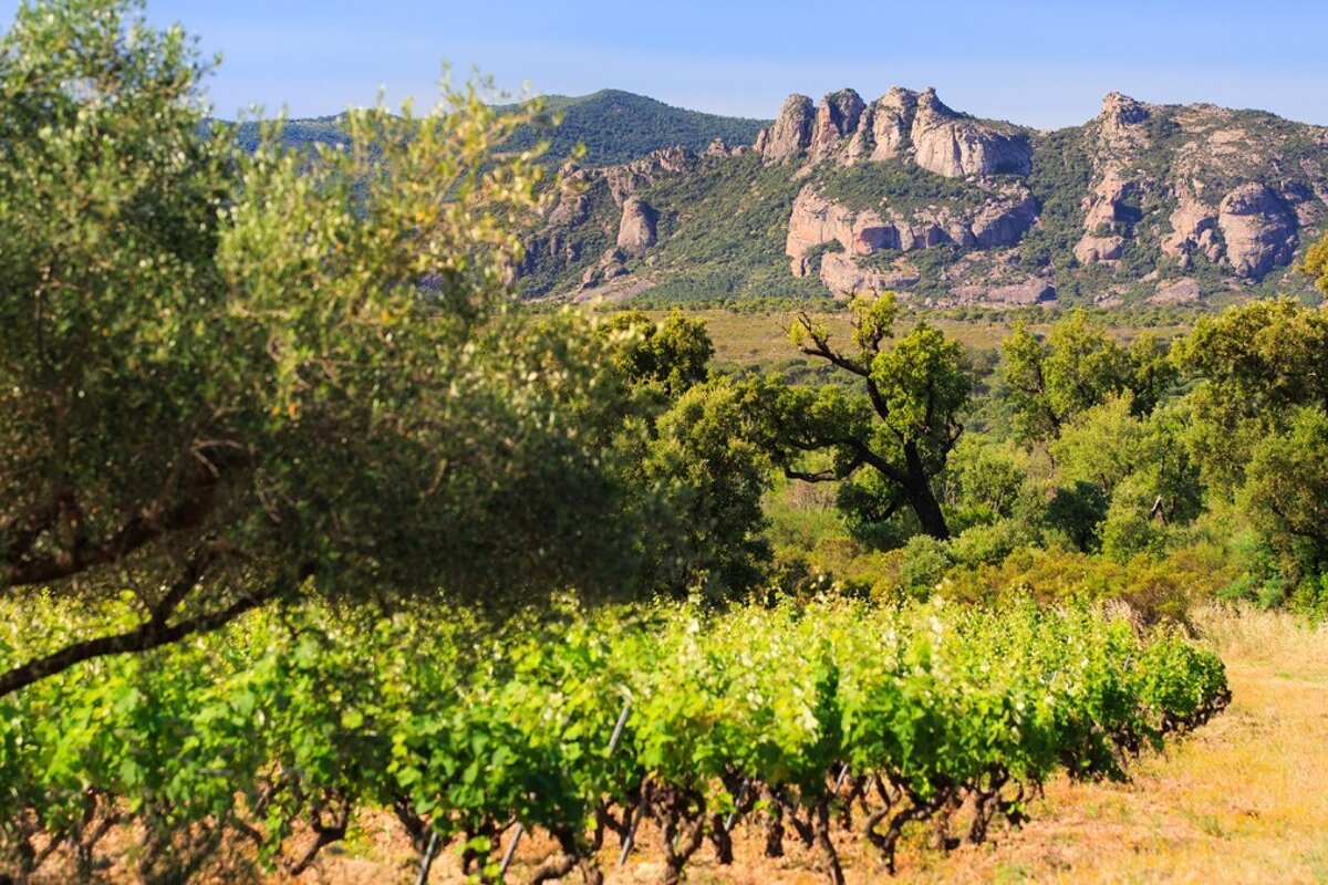 Chateau du Rouet, Le Muy