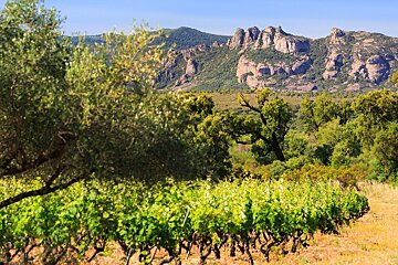 Chateau du Rouet, Le Muy