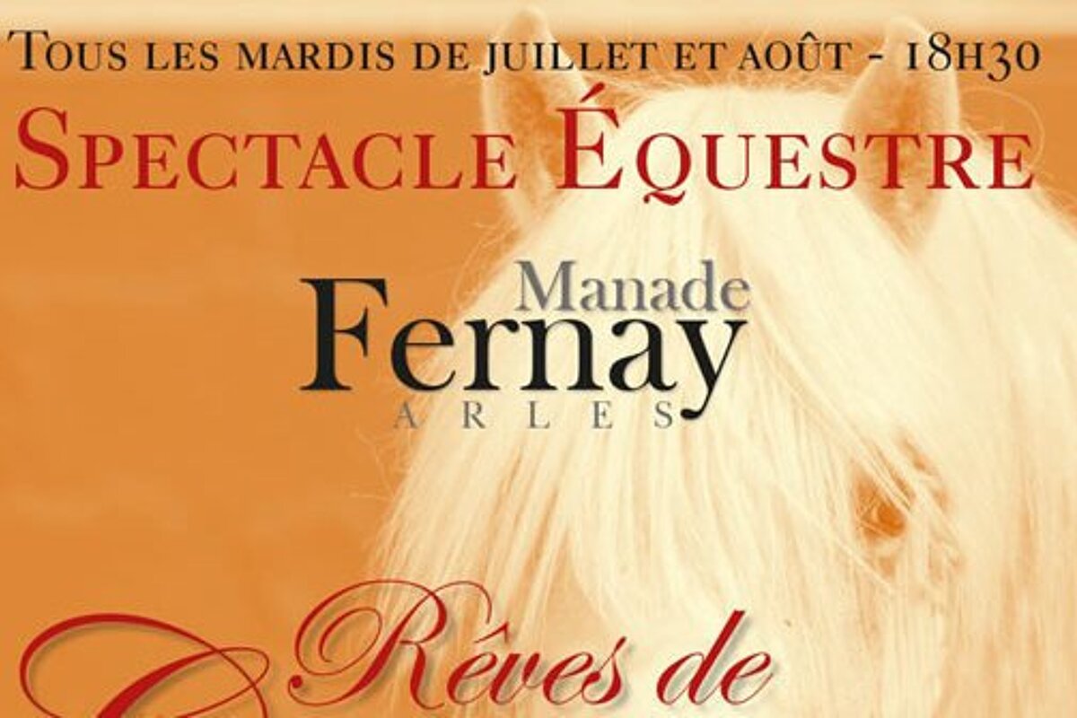 Reves de Camargue Horse Show, Arles