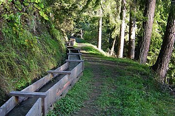A wooden trough in the middle of a forest