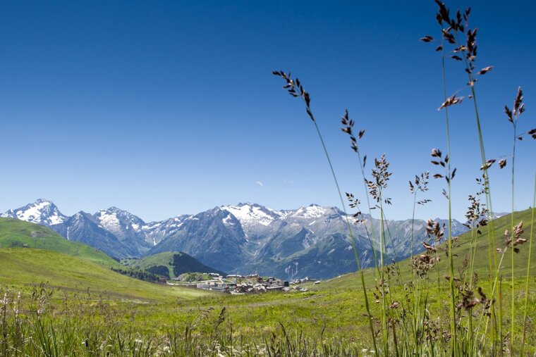 a summer meadow with alpe dhuez in the background