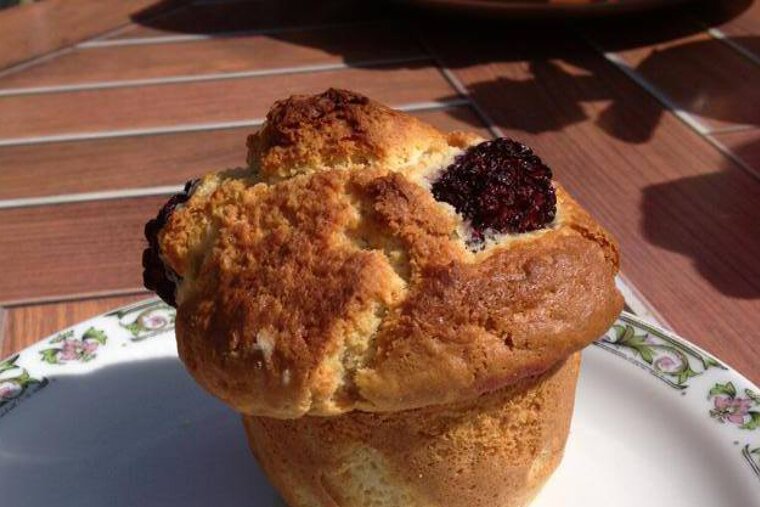 Muffins at Mamo's Cafe, Lindaret