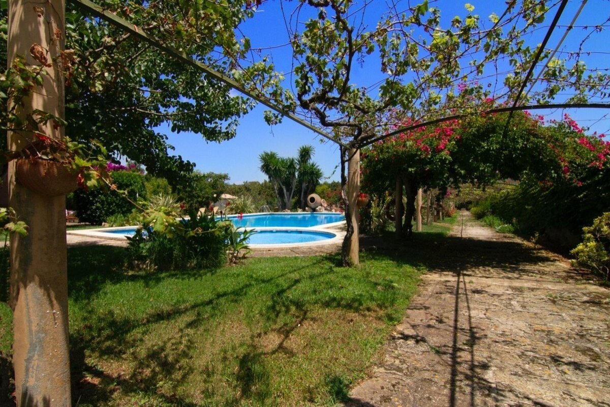 A vibrant garden features a blue swimming pool, a vine-covered trellis with pink flowers, and a sunny stone path under a clear sky.