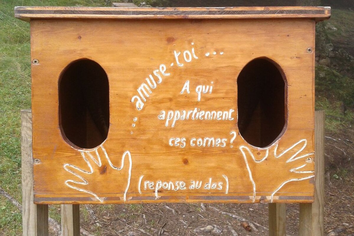 Visiting the Animals at Parc de Merlet