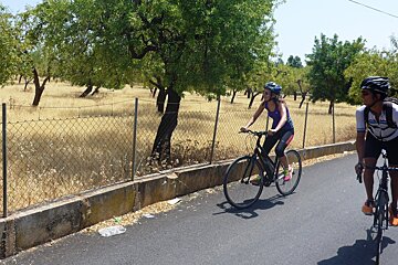 cyclists on the road in mallorca