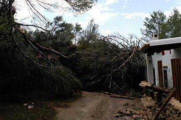 A tree has fallen on a dirt road in front of a house
