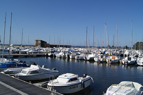 boats in a marina