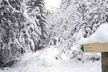 A hiker in a snowy forest in Vaudagne