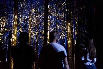 Alta Lumina Enchanted Night Walk, Les Gets