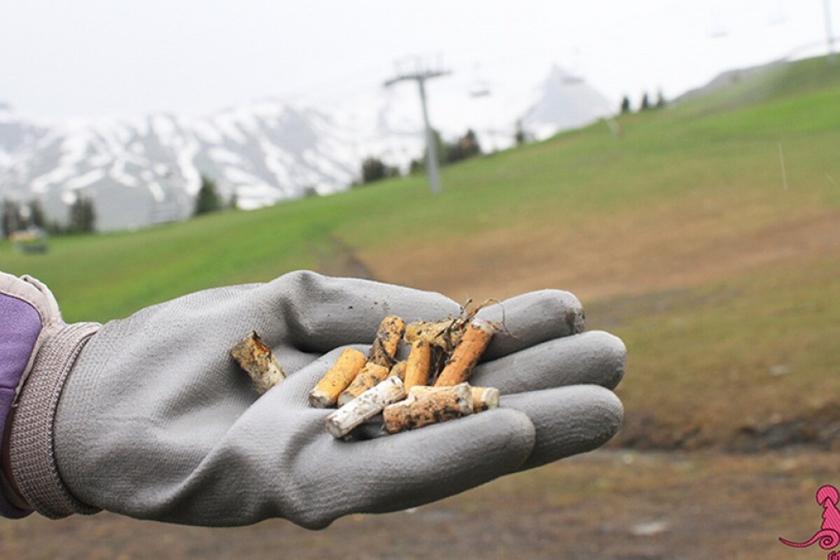 Environmentally Friendly Skiing