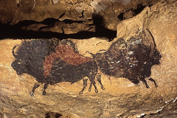 painted bison in Grotte de Font-de-Gaume