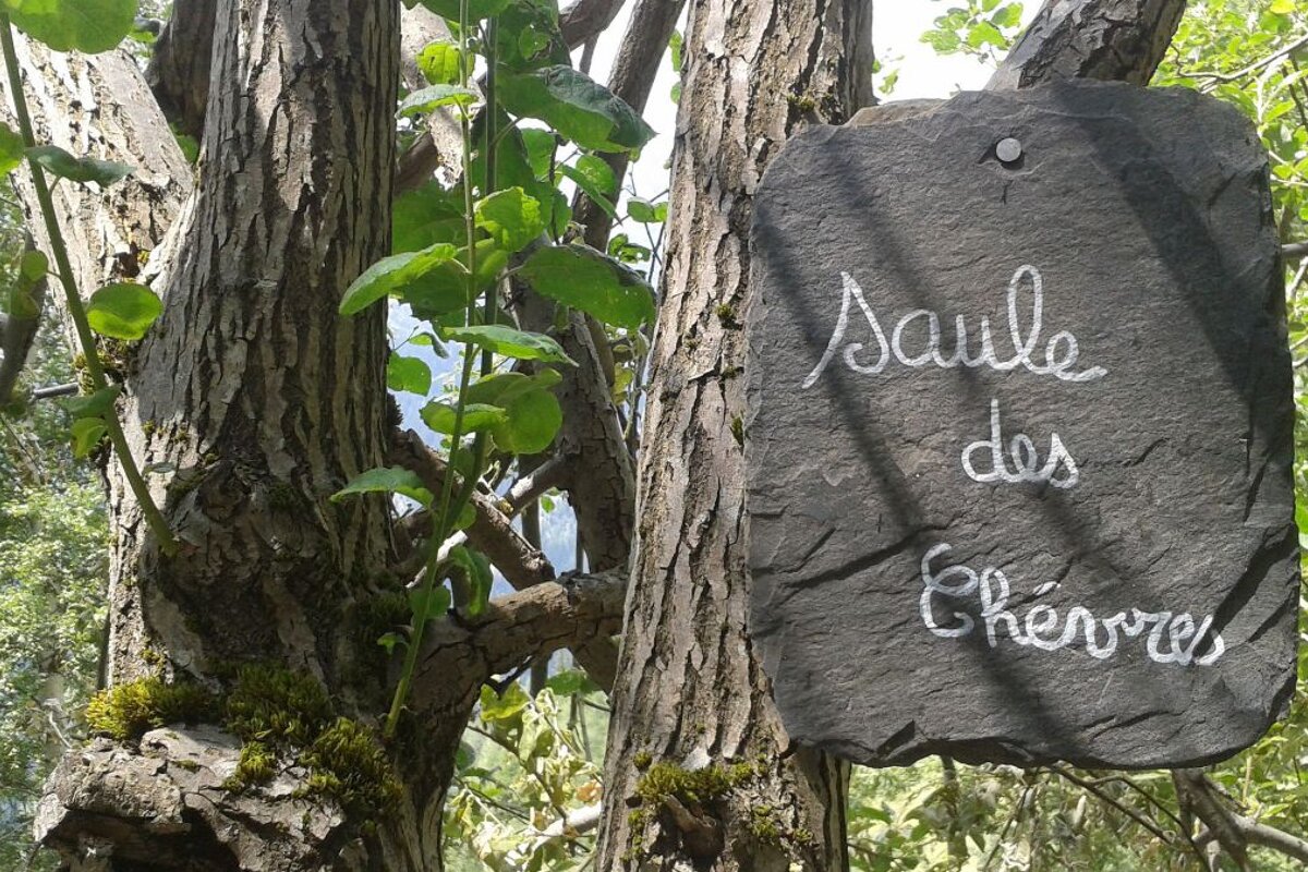 Hiking up to with Les Prapators via Le Chapeau