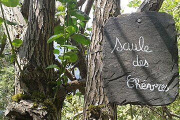 Hiking up to with Les Prapators via Le Chapeau