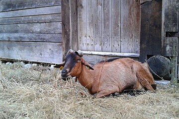 Hiking up to with Les Prapators via Le Chapeau