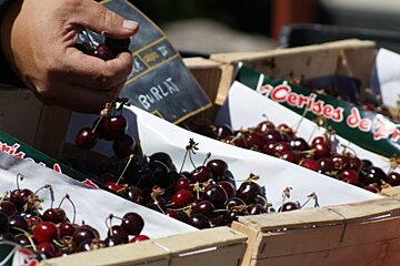 Pernes les Fontaines Farmers Market
