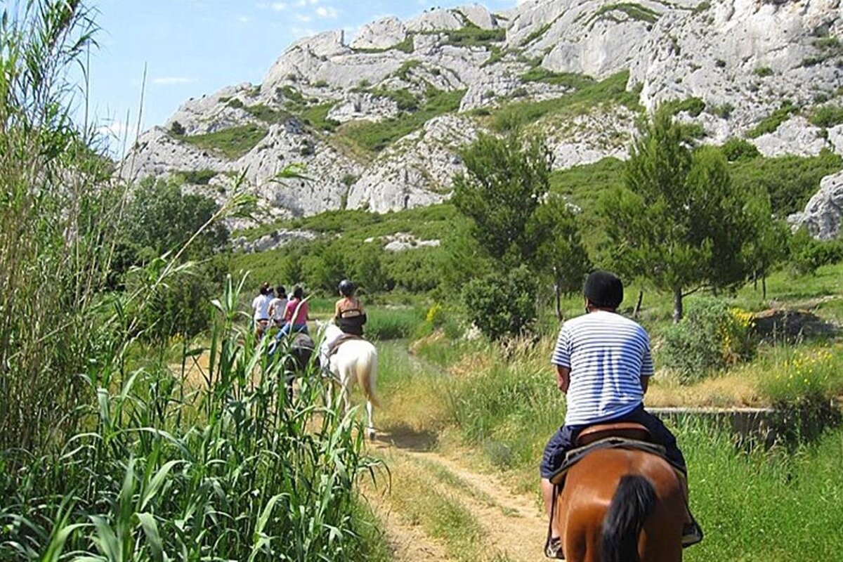 Typical Alpilles limestone crags