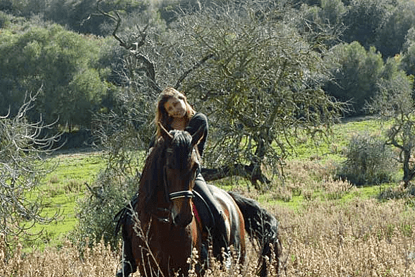 Horse Riding Tour in Mallorca, Randa